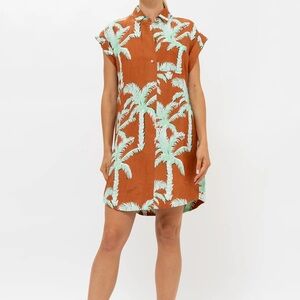 Oliphant Mini Shirt Dress in Cartagena Brown